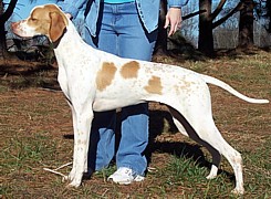 Ducan