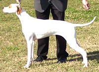 Rita